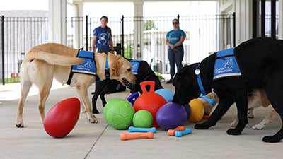 Jolly Pets Partners with Canine Companions