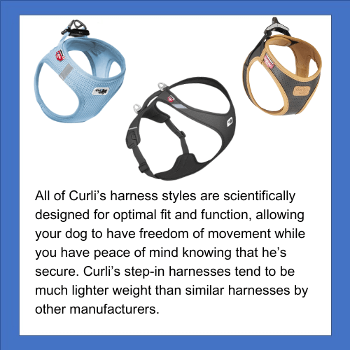 Curli dog harness