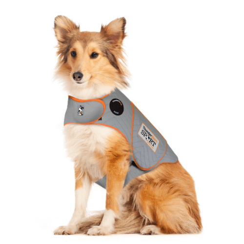 Thundershirt