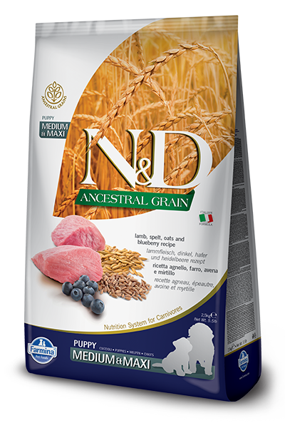 Farmina N&D Ancestral Grain Canine Lamb, Spelt, Oats & Blueberry Puppy Medium/Maxi Dry Food